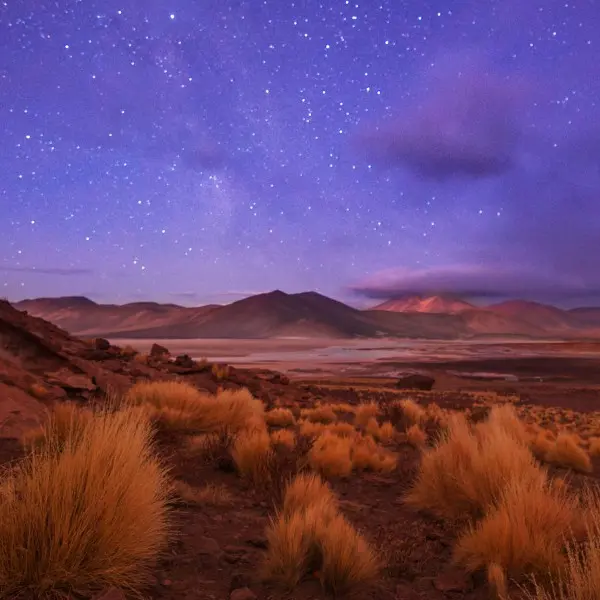 הרפתקה קסומה במדבר אטקמה - גלו את נפלאות צפון צ'ילה!