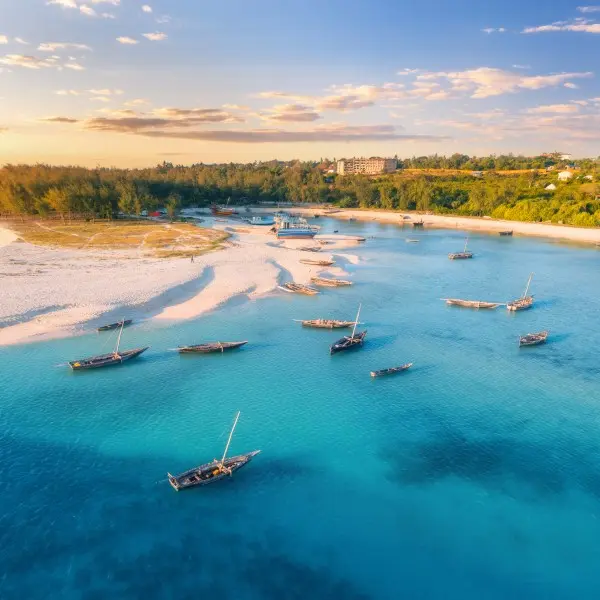 גלו את טוליארה – אוצר אקזוטי שלא תרצו לפספס!