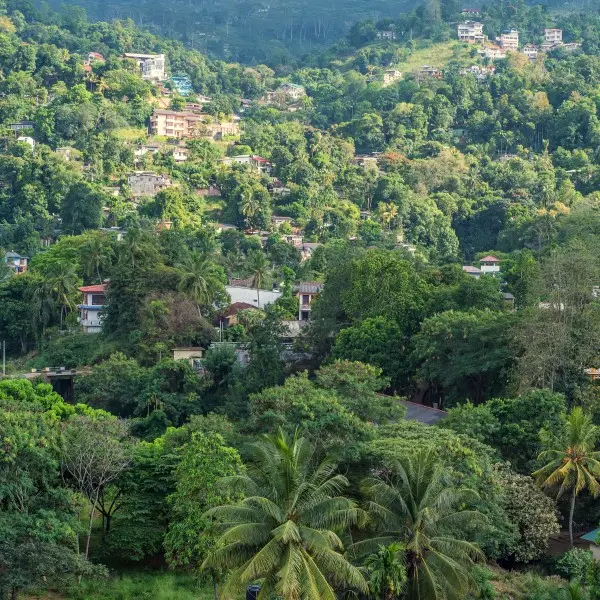 גלה את הקסם של סרי לנקה: הרפתקה בלתי נשכחת בקנדי!
