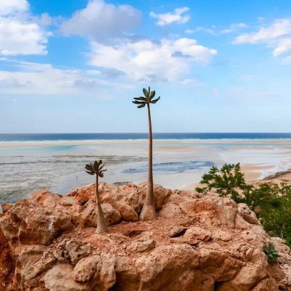 גן עדן טרופי מחכה לכם: חופים זהובים והרפתקאות בלעדיות