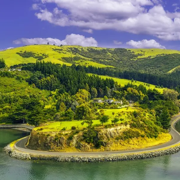 קרייסטצ'רץ' – הדלת לעולם הפלאים של ניו זילנד