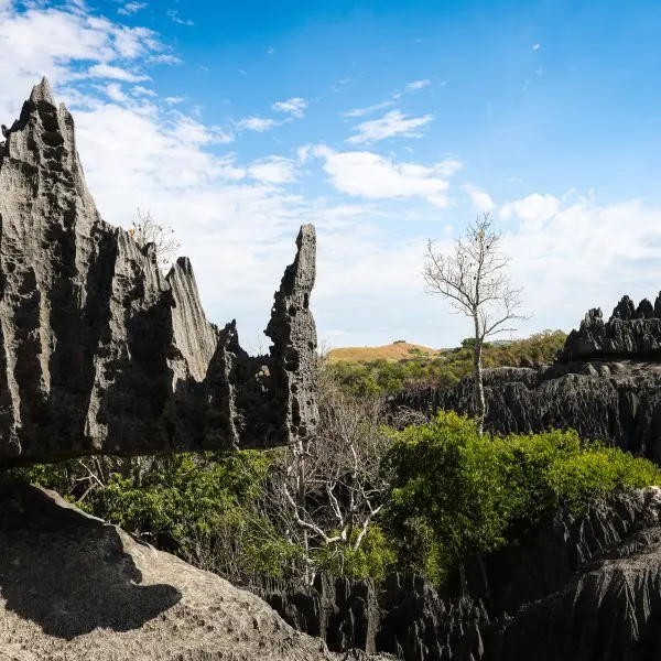גלו את נומזי - התכשיט הבלתי נגלה של מזרח אסיה!