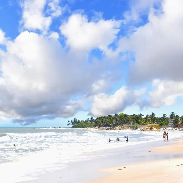 קולומבו הקסומה מזמינה אתכם לחוויות שלא תשכחו בסרי לנקה!