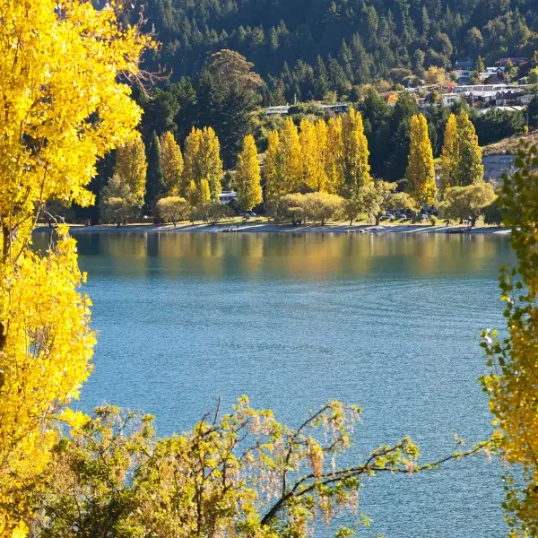 קווינסטאון בניו זילנד: ההרפתקה שלא תרצו לפספס!