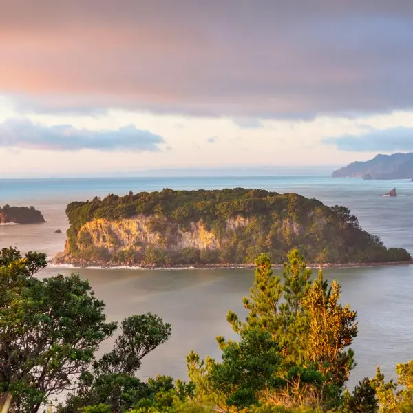 גלה את אוקלנד – הקסם שאין שני לו של ניו זילנד
