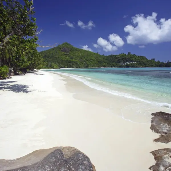 ברוכים הבאים לגן עדן טרופי זוהר בלב האוקיינוס