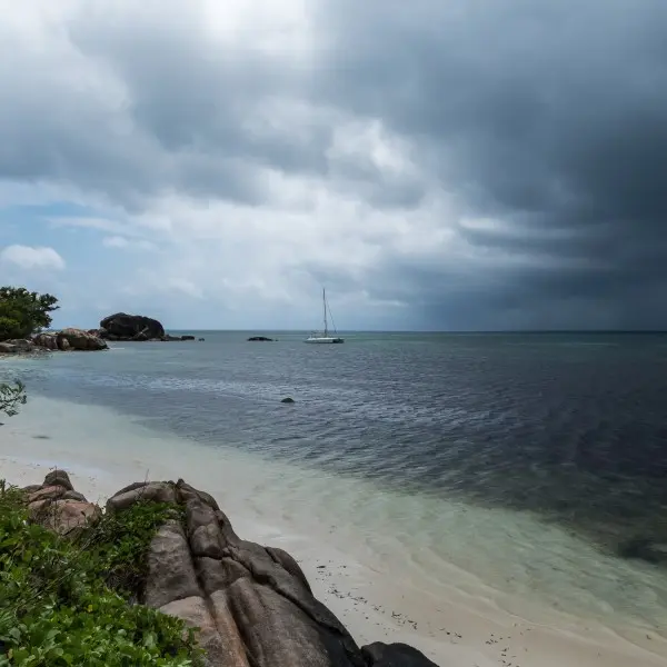 פרלין – חוויית הקסם האירופי המקורי שלא תשכח
