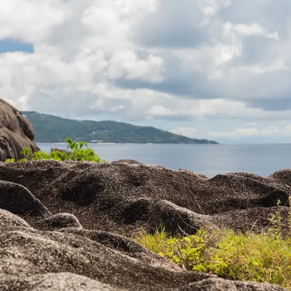 האי סילואט: האוצר הנסתר של סיישל מחכה לך
