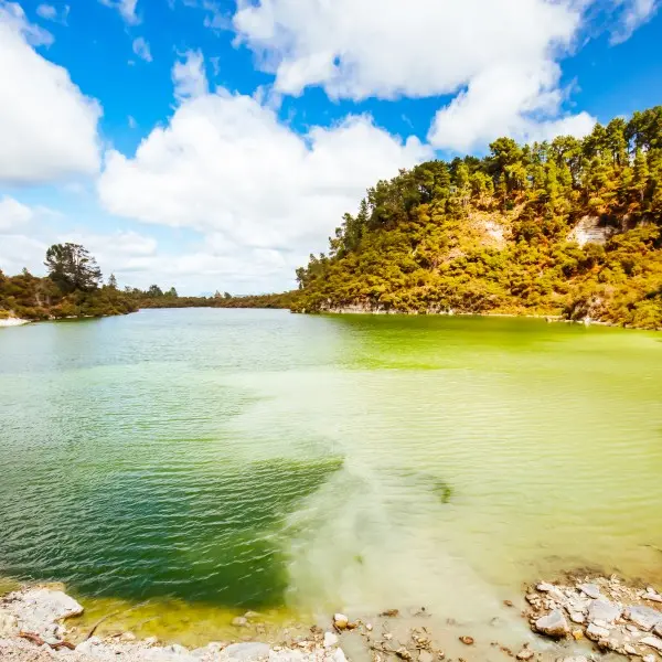 רוטורואה: אטרקציה גיאותרמית ומסע ניו-זילנדי בלתי נשכח