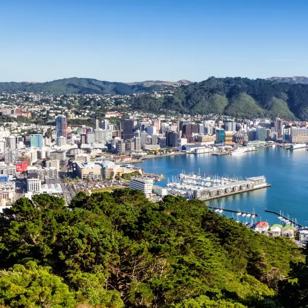וולינגטון: גלו את הסודות הקסומים של התרבות והטבע בניו זילנד