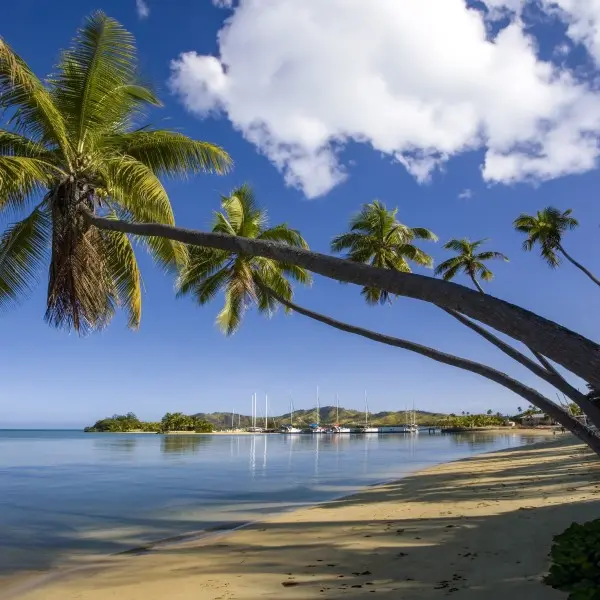 נארואה – היעד הסודי שיגלה לך גן עדן במזרח!